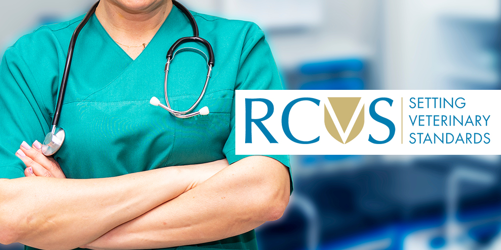 RCVS launches consultation on accreditation standards